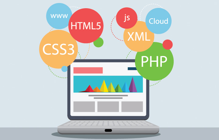 Web Development